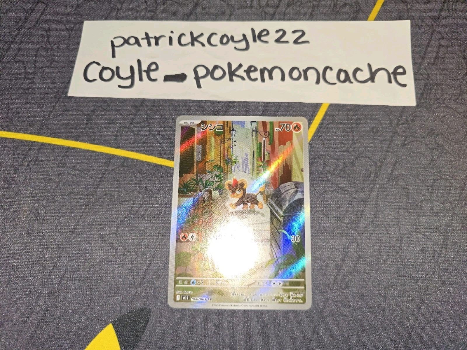 Litleo Holo Art Rare Japanese Card M1S Mega Symphonia 066/063 NM front/VLP back