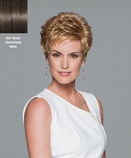 Eva Gabor Aspire Layerd Wig, G4+ Dark Chocolate Mist Hair Color by  HAIRUWEAR