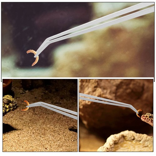 2 Pcs Animal Feeding Tweezers Reptile Tank Accessories Lizard Pet Tools - Zdjęcie 7 z 12