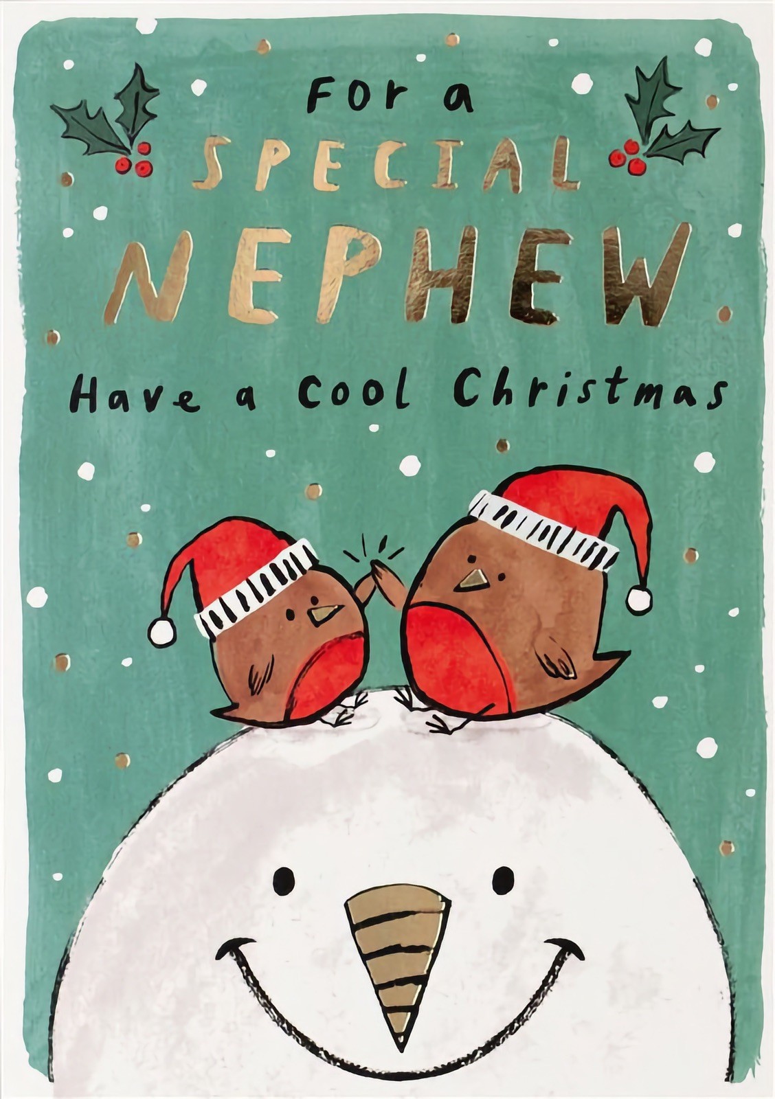 For A Special Nephew Christmas Card Cute Snowman Robins Have A Cool Christmas