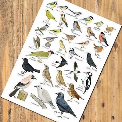 Garden Bird Chart