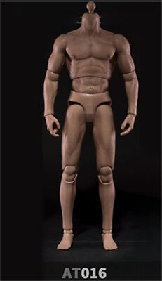 WorldBox AT016 1/6 Wide Shoulder Strong Body Muscular Action Figure