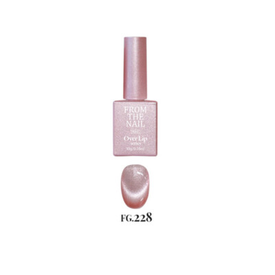 From the Nail Over Lip Magnetic Gel Nail Polish 10g 8 Color K
