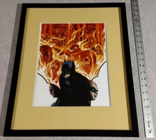 James Jean DC Comics Poster Portfolio original comic book cover art 16x20" frame