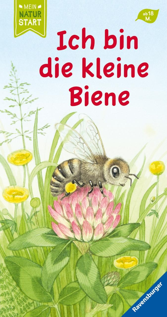 Sandra Grimm ~ Ich bin die kleine Biene - Bild 2