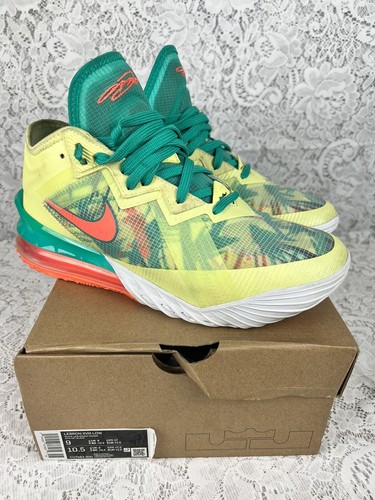 lebron 18 summer
