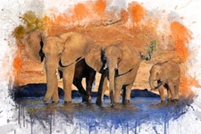 Elephants, animal, art, abstract,High quality Canvas print choose your size 