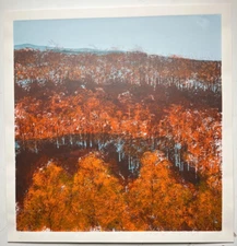 Howard Bradford Mid Century Signed Serigraph Print Titled "Twilight" 1980