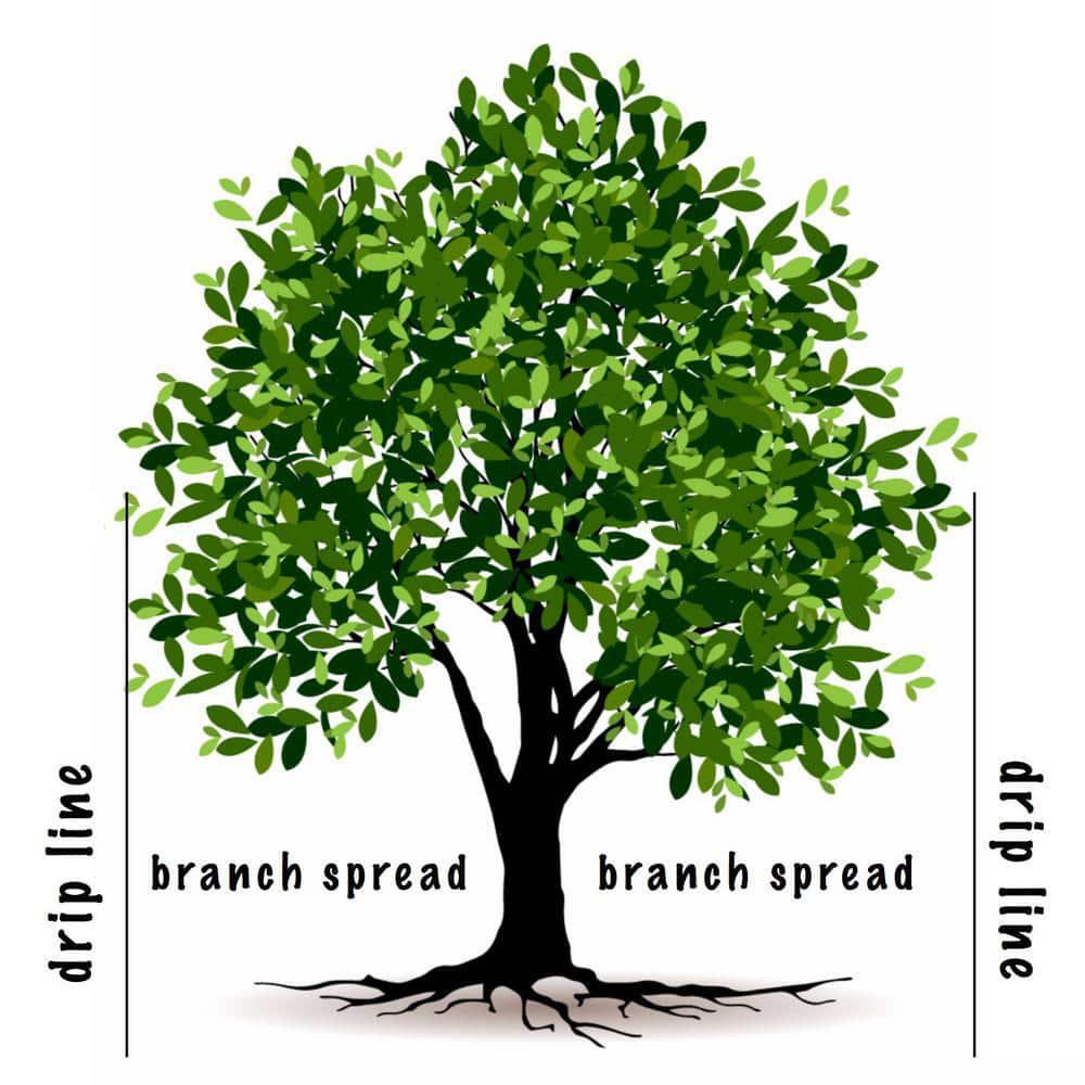 Tree and Shrub Fertilizer Plant Food Spikes Root Nutrients 15 Spikes 4