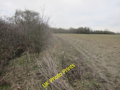 Photo 6x4 Field edge boundary adjacent to Moor Lane Ashton Green  c2015