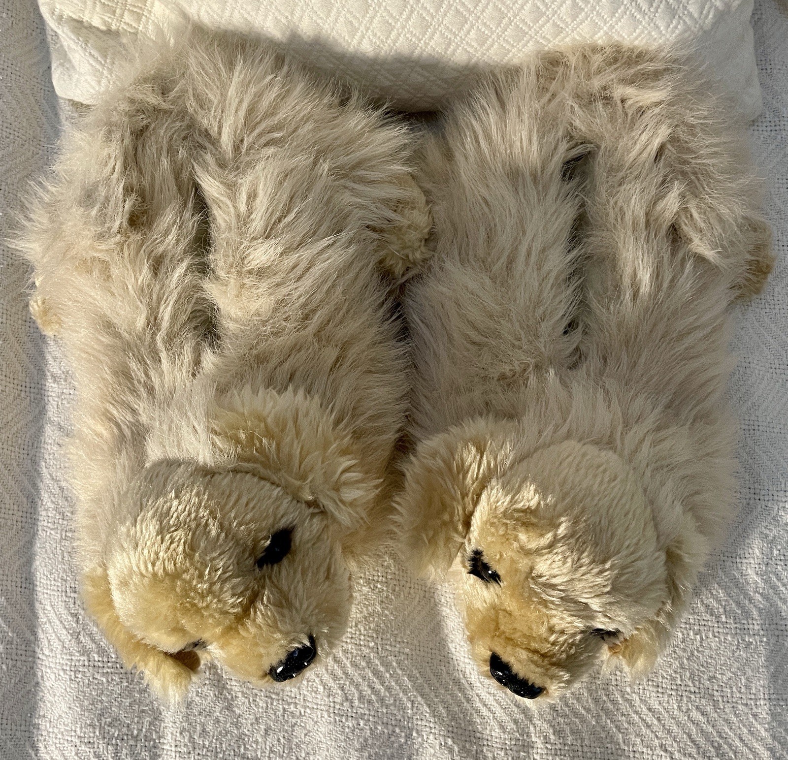 PANTOFOLA D’ORO Ciabatte morbide per cani Gol Retriever. Marrone dorato. Donna S