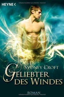 Geliebter des Windes: Roman von Croft, Sydney | Buch | Zustand gut