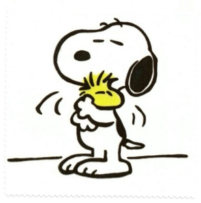 Microfasertuch zum Brille reinigen - Motiv Snoopy - Brillenputztuch  NEU