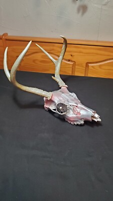 Painted 5 Point Buck Skull Dream Catcher Eye Native Americwn Art Magic 
