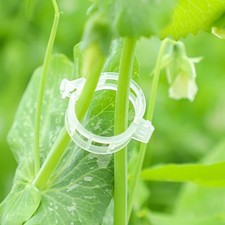 Secured Plastic Plant Clip, Plant Support Clips, Garden Clips for Climbing Plant