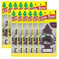 Little Trees Hanging Car and Home Air Freshener, Blackberry Clove, 12 Pack