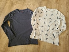 Langarmshirts, Longsleeve: Gr. 122/128, 2erPack, H&M, Dino, grau, cool!