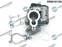 Dr.Motor Automotive DRM181106 Agr-Ventil Passend FüR Nissan Opel Renault