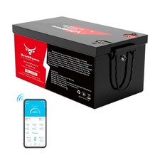 48V 100Ah 5120Wh Lithium LiFePO4 Battery 200A BMS Golf Cart solar RVs off-grid
