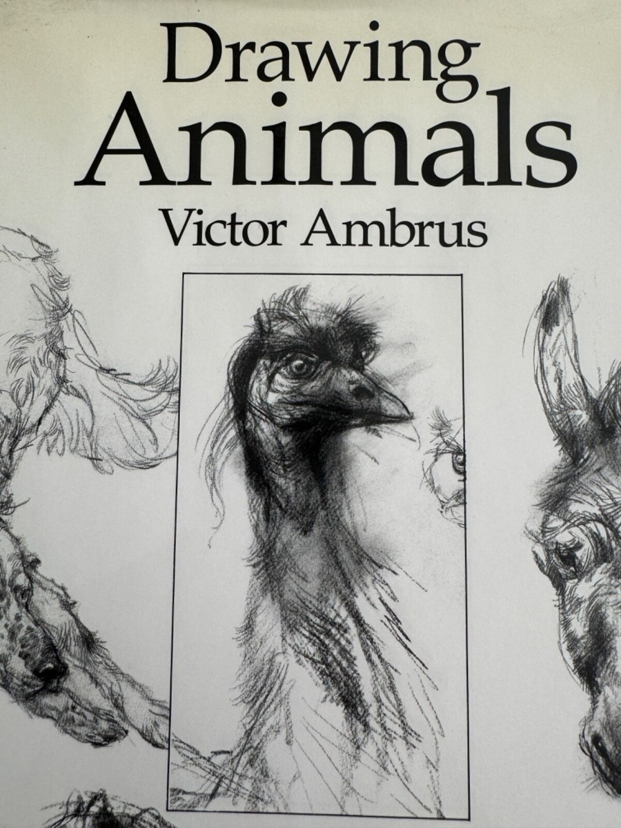 Drawing Animals by Victor Ambrus Hard Cover with Dust Jacket