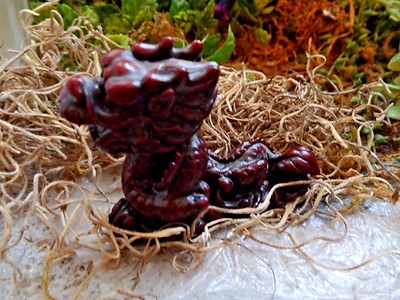 Latex mini dragon mold plaster cement casting mould 2.5'' x 2'' x .75''W