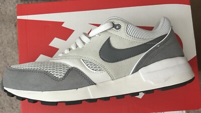 Size 11 Men s- Nike Air Odyssey Gray- Rare original box- Basically Brand New