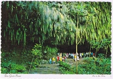 Hawaii Postcard Fern Grotto Garden Island Kauai Wailua River