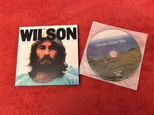Dennis Wilson Pacific Ocean Blue | eBay