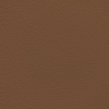 Nissan Chili Leather Dye