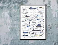 18x24 Tunas Mackerels and Billfishes poster - Val Kells Nature Prints copy