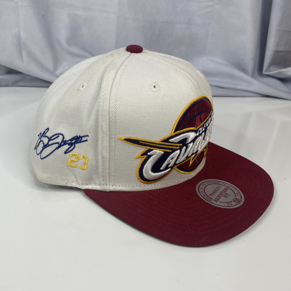 lebron snapback