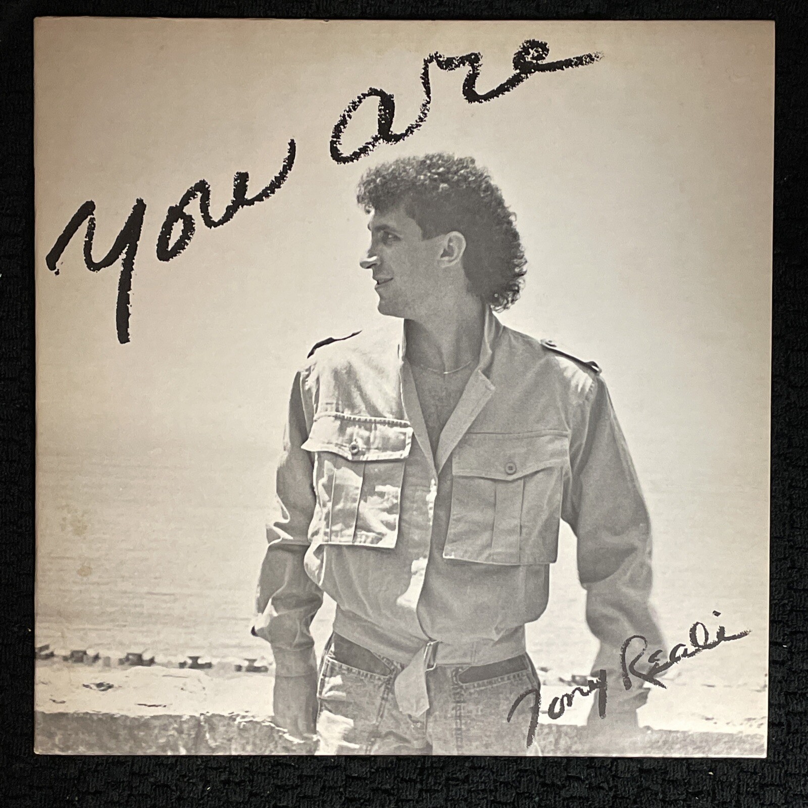 Tony Reali, You Are - Vinyl | eBay