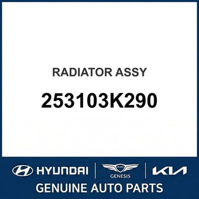 2006-2010 Kia Optima Kühlerbaugruppe OEM Neu 253103K290