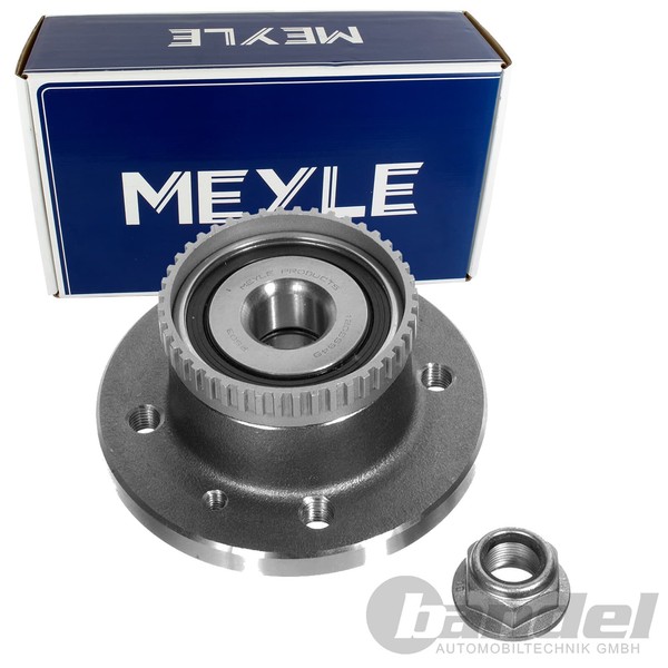 Meyle Radnabe Mit ABS-RING Mit Radlager Hinten Passend FüR Renault Megane ScÉNic-image