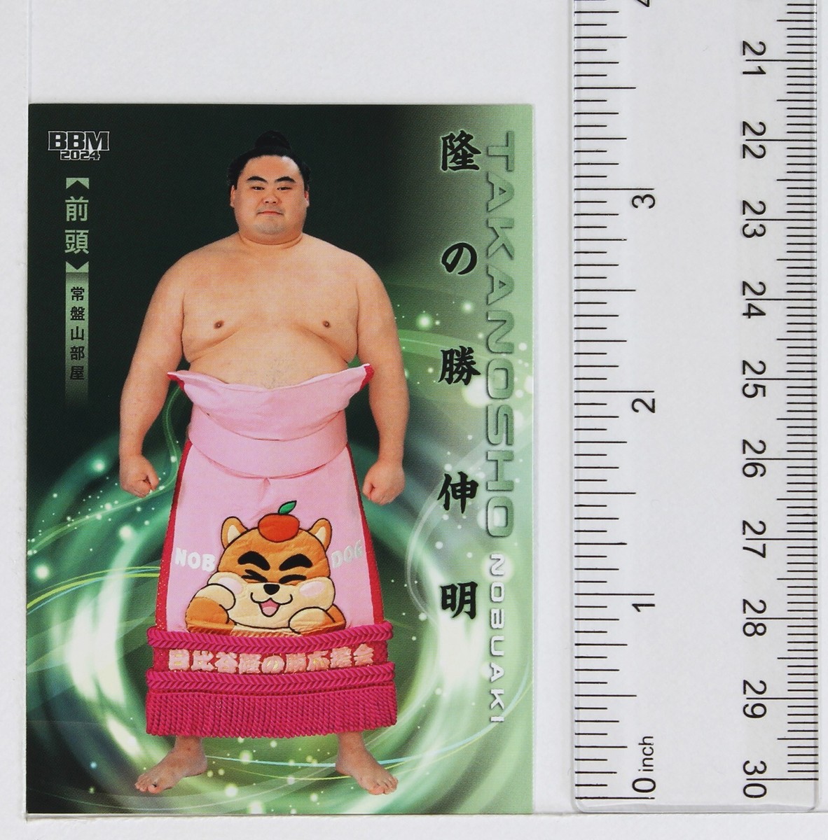 【280枚限定】高橋しょう子 BIG COSTUME IN CARD Amazon.com: HJKTVDRQ Missouri State Flag Print Hooded Cloak