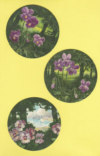 ZEUSMAP-X Murakami Flowers Trading Card Takashi Murakami GEISAI