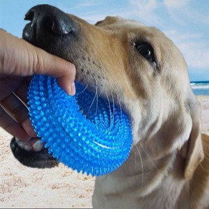 dog toy with teeth