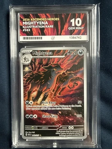 Pokémon TCG 2025 MIGHTYENA IR Ace 10 Gem Mint