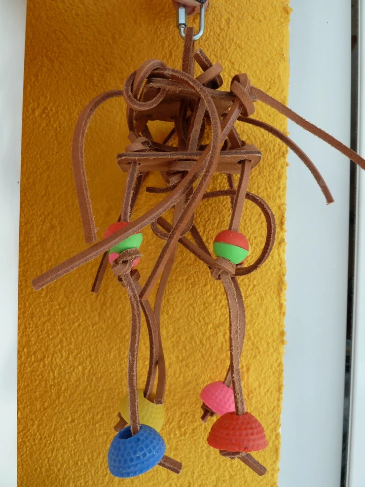 Papageienspielzeug Intelligentes Spielzeug  Aktivspielzeug Papageien - Bild 1 von 1