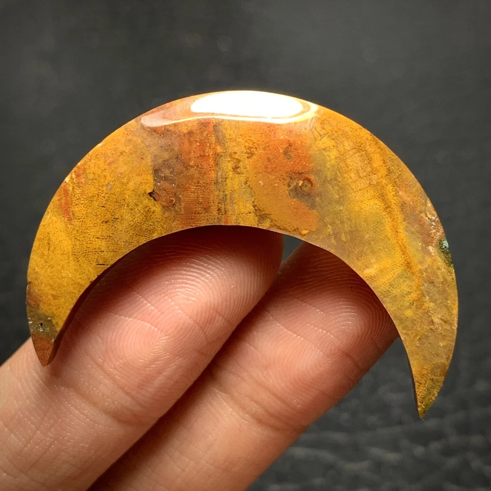 Jasperized Coral Fossil Cabochon 41x13x5mm High Quality 29 ct - Image 4 of 4