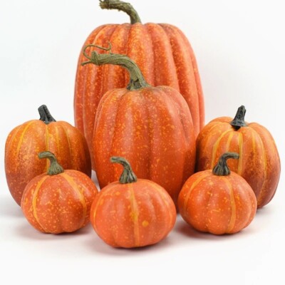 7er Set Künstliche Kürbisse für Halloween - Herbstdeko