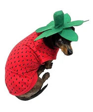Pet Halloween Costume Dog Strawberry Costume Role Play Clothes for Thanksgivi...