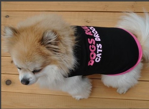 Verano Primavera Varios Mascotas Cachorro Pequeño Perro Gato Mascota Ropa Chaleco Camiseta - Imagen 47 de 191