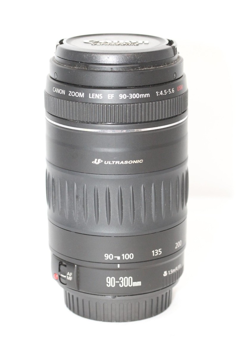 きれい キヤノン EF 90-300mm F4.5-5.6 USM
