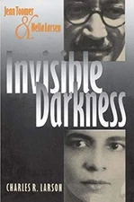 Invisible Darkness : Jean Toomer and Nella Larsen Paperback Charl
