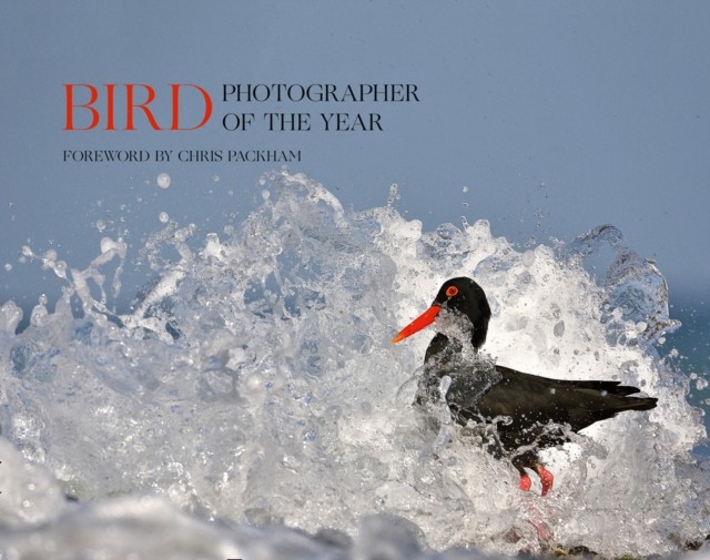 BIRD PHOTOGRAPHER_BIRD PHOT HB by Bird Photographer of the Year (Hardback Book)