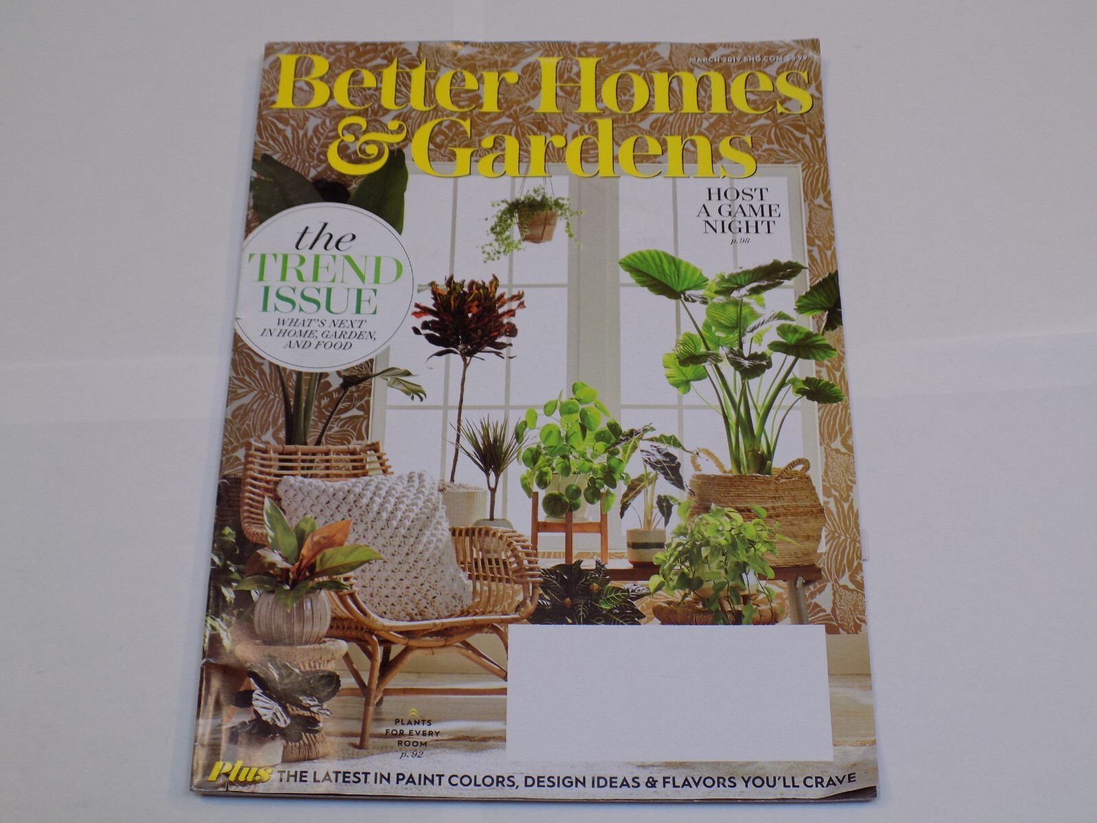 Better Homes Gardens March 2019 Trend Issue Game Night Painting Ideas  