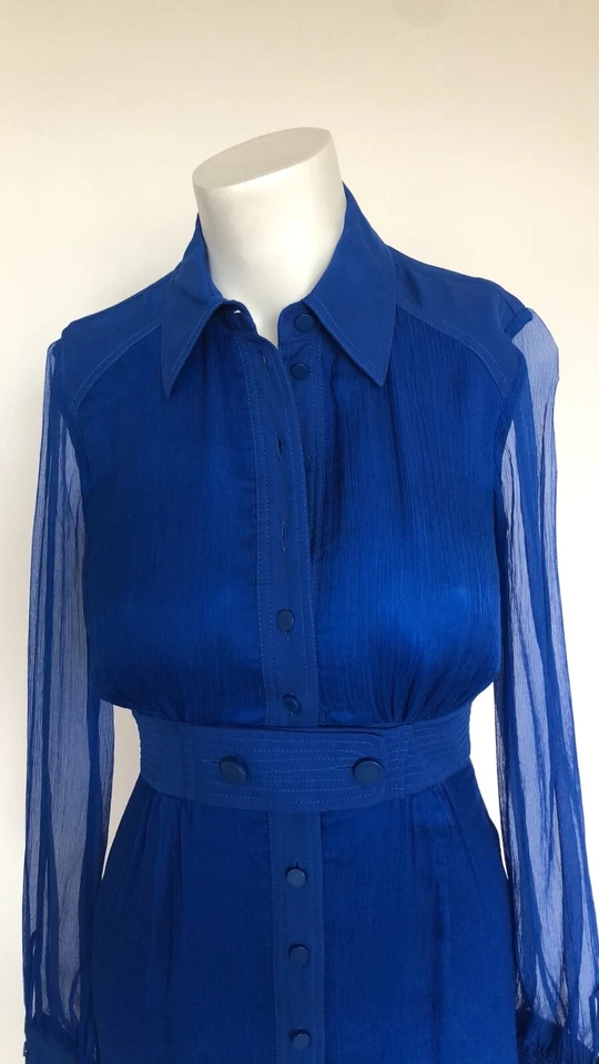 CATHERINE MALANDRINO 皇家蓝色丝绸 CHIFFON 连衣裙纽扣,尺寸 2 — 第 2/4 张图片