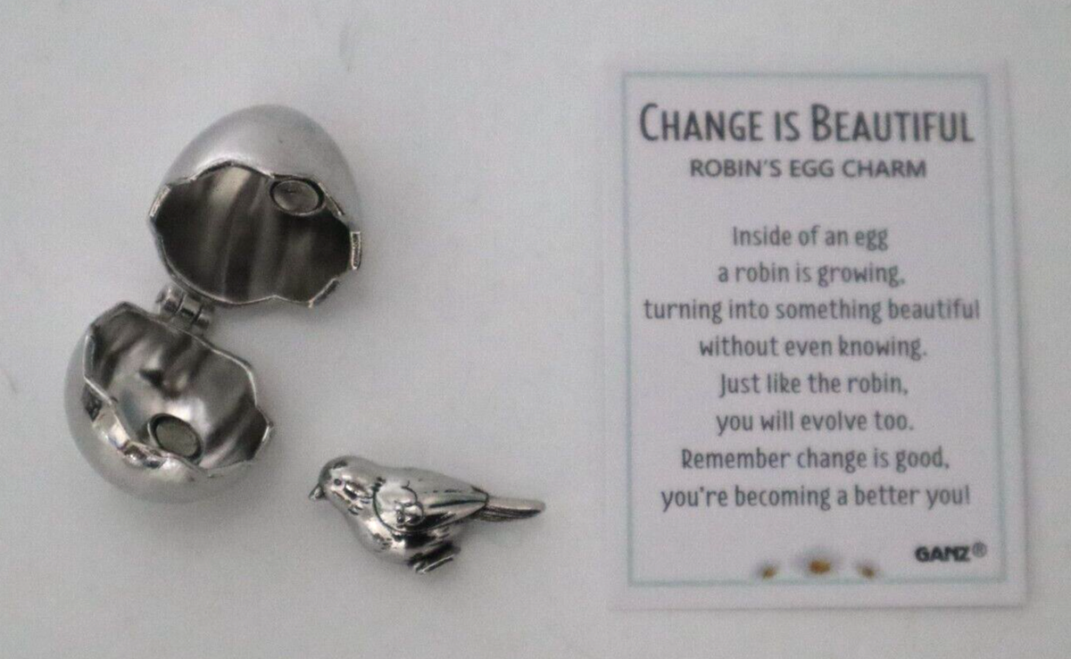 H2 CHANGE IS BEAUTIFUL Robin's egg charm bird prayer box Ganz