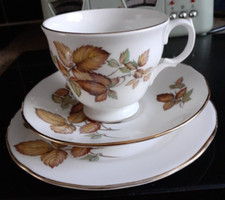 Vintage Gainsborough Bone China Trio Autumn Leaves